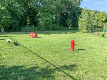 2 Fenced dog parks with agility equipment
